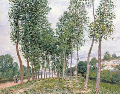 Poppelikatu Loingin rannoilla tekijältä Alfred Sisley