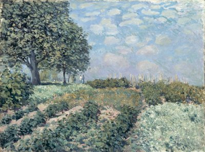 Market Gardens tekijältä Alfred Sisley