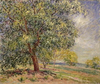Pähkinäpuu Sablonsissa keväällä; Pähkinäpuut Les Sablonsissa, kevät, 1885 tekijältä Alfred Sisley