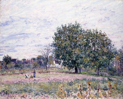 Pähkinäpuut, Laskevan auringon vaikutus - Lokakuun ensimmäinen päivä, 1882 tekijältä Alfred Sisley