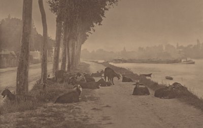  tekijältä Alfred Stieglitz