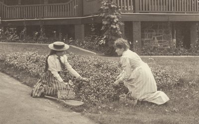 Kukkapenkki Oaklawnissa tekijältä Alfred Stieglitz