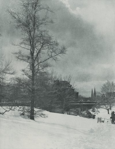 Talvinen taivas – Central Park tekijältä Alfred Stieglitz