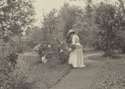 Oaklawnissa tekijältä Alfred Stieglitz