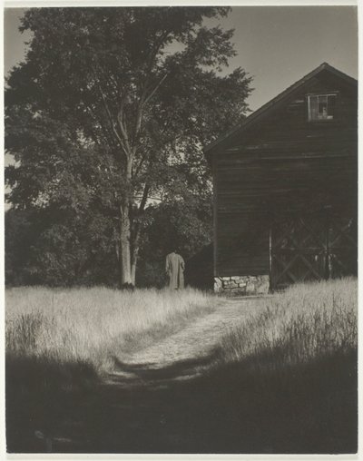 Navetta, Lake George tekijältä Alfred Stieglitz