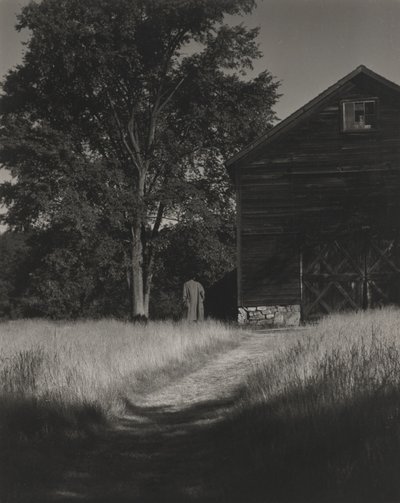 Lato, Lake George tekijältä Alfred Stieglitz