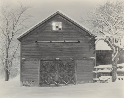 Lapset  lumi tekijältä Alfred Stieglitz
