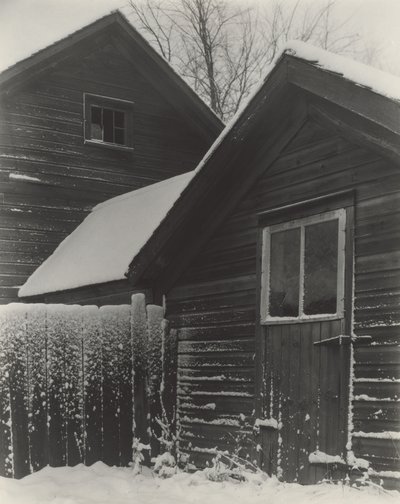 Lapset  lumi tekijältä Alfred Stieglitz