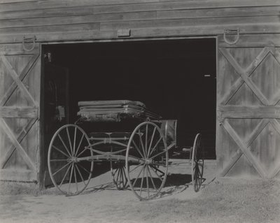  tekijältä Alfred Stieglitz