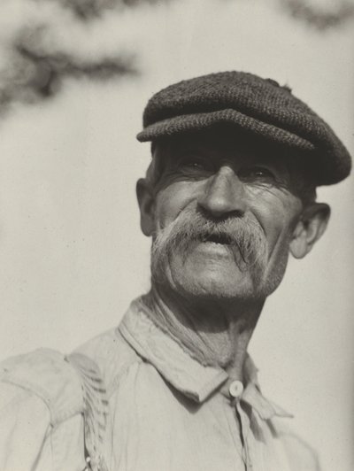 Jää tekijältä Alfred Stieglitz