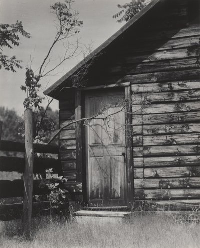  tekijältä Alfred Stieglitz