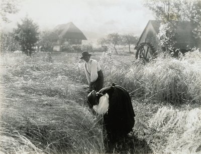 Varhainen aamu tekijältä Alfred Stieglitz