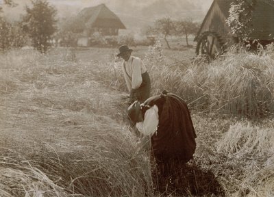 Varhainen aamu tekijältä Alfred Stieglitz