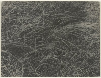 Vastaava tekijältä Alfred Stieglitz