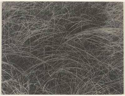 Vastaava, 1927. tekijältä Alfred Stieglitz