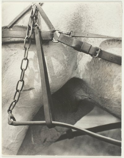 Vastaava henkinen Amerikka tekijältä Alfred Stieglitz