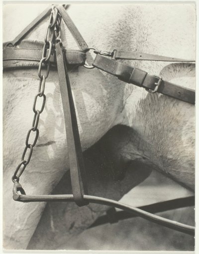 Equivalent, Amèrica espiritual, 1923. finlandès tekijältä Alfred Stieglitz