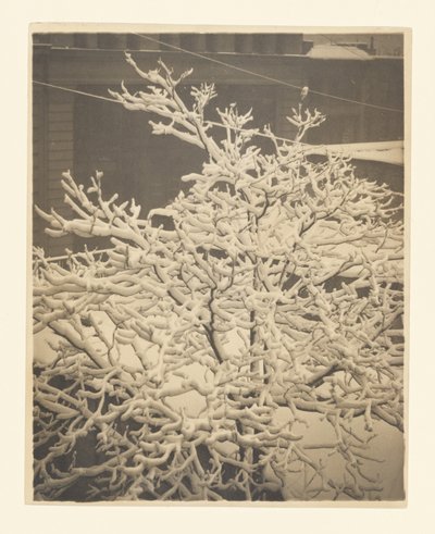 Talon 291 takana olevasta ikkunasta tekijältä Alfred Stieglitz