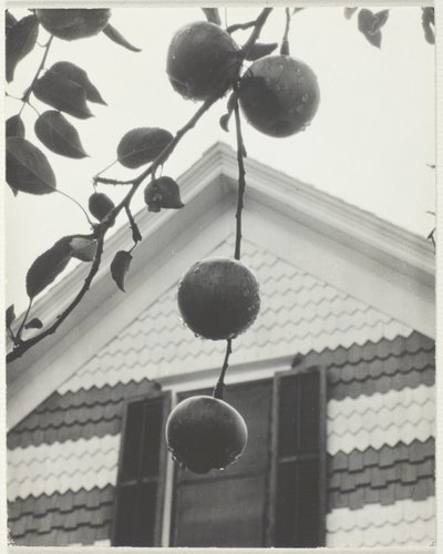 Gable ja omenat tekijältä Alfred Stieglitz
