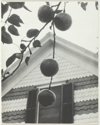 Gable ja omenat, 1922. tekijältä Alfred Stieglitz