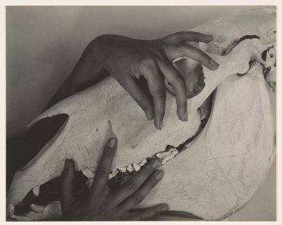  tekijältä Alfred Stieglitz