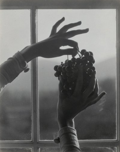Georgia O'Keeffe - kädet ja viinirypäleet tekijältä Alfred Stieglitz