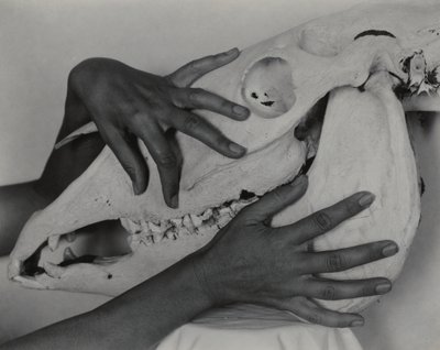  tekijältä Alfred Stieglitz