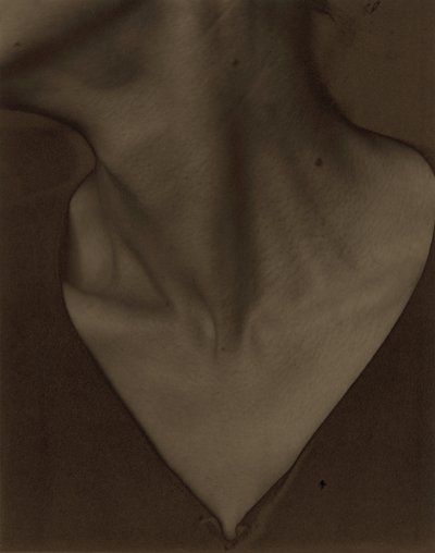Georgia O’Keeffe – Kaula tekijältä Alfred Stieglitz