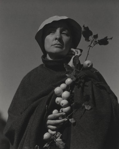  tekijältä Alfred Stieglitz