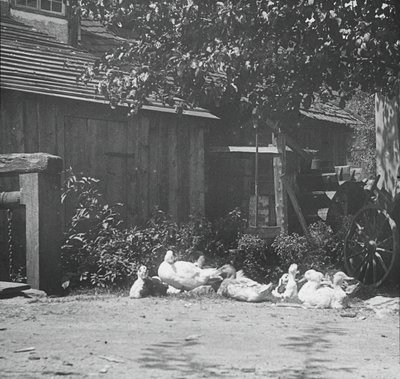 Gutach, 1894. tekijältä Alfred Stieglitz