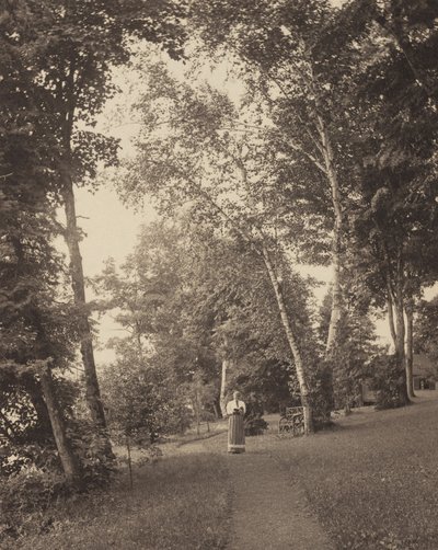  tekijältä Alfred Stieglitz