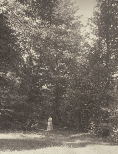 tekijältä Alfred Stieglitz