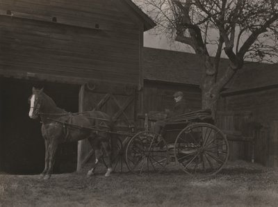 Hevonen ja vaunut tekijältä Alfred Stieglitz