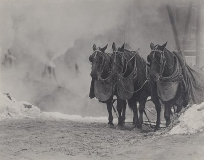 Hevoset, New York tekijältä Alfred Stieglitz
