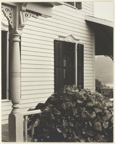 Talo ja viinirypäleiden lehdet tekijältä Alfred Stieglitz