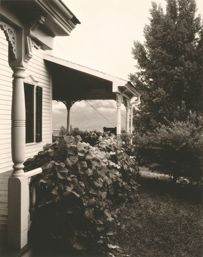 Talo ja viinirypäleen lehdet, 1934. tekijältä Alfred Stieglitz