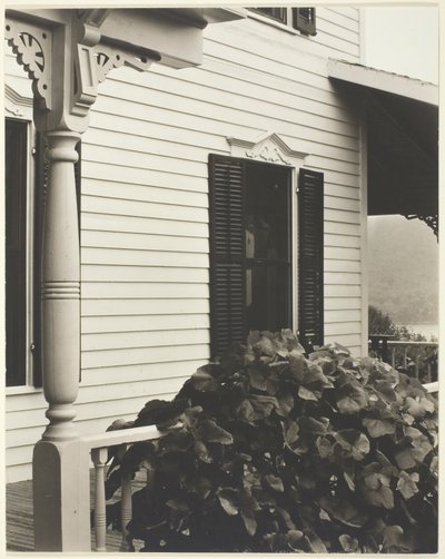 Talo ja viinirypäleen lehdet, 1934. tekijältä Alfred Stieglitz
