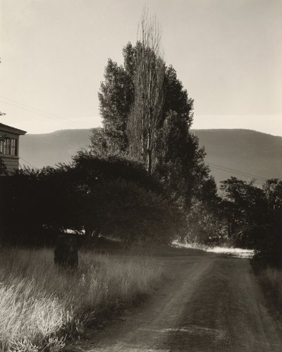  tekijältä Alfred Stieglitz
