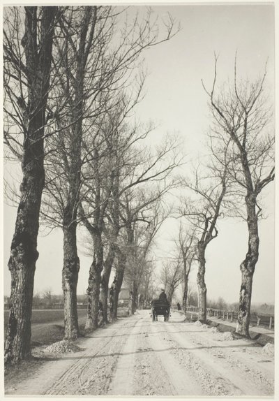 Marraskuun päivät tekijältä Alfred Stieglitz