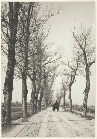 Marraskuun päivät, 1887, painettu 192039. tekijältä Alfred Stieglitz