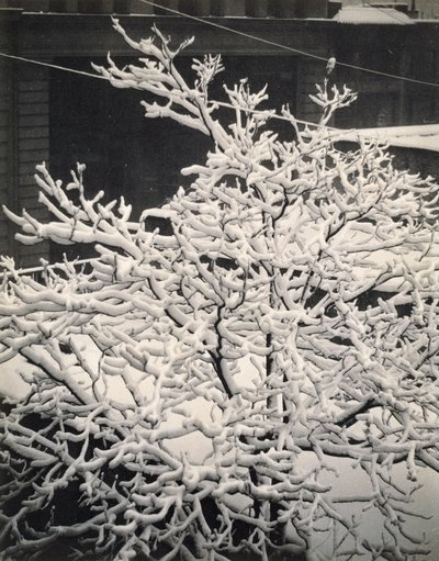 Out of Window - 291 - N.Y. tekijältä Alfred Stieglitz