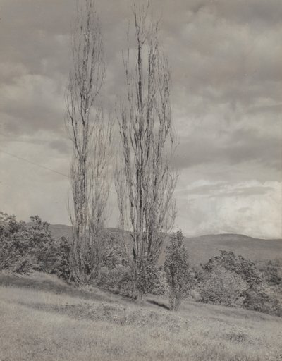  tekijältä Alfred Stieglitz