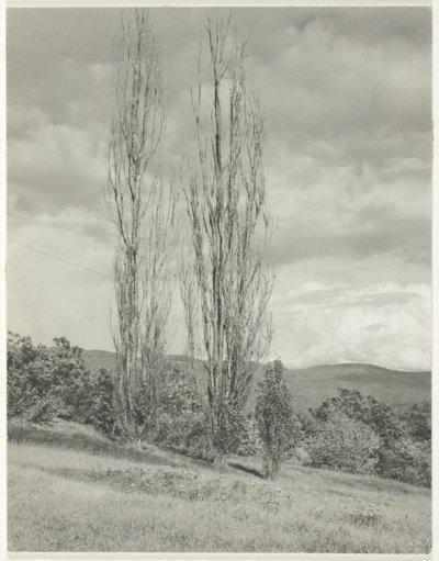 Poppelit – George-järvi tekijältä Alfred Stieglitz