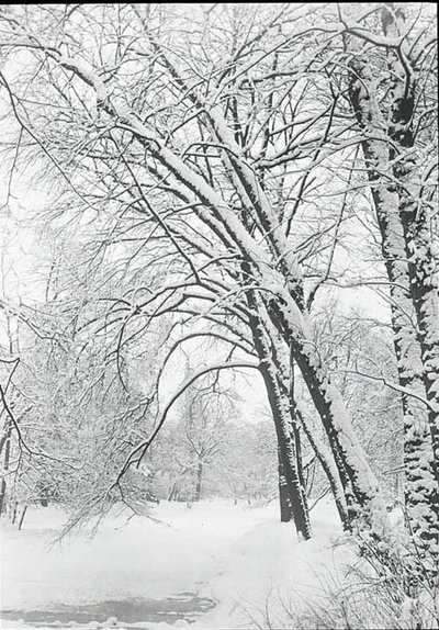 Lumimaisema, Berliini, 188892. tekijältä Alfred Stieglitz