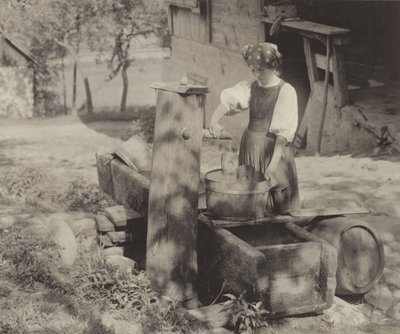 Sunlight Effect, Gutach tekijältä Alfred Stieglitz
