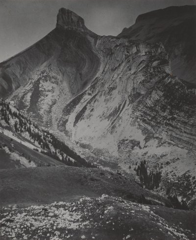  tekijältä Alfred Stieglitz