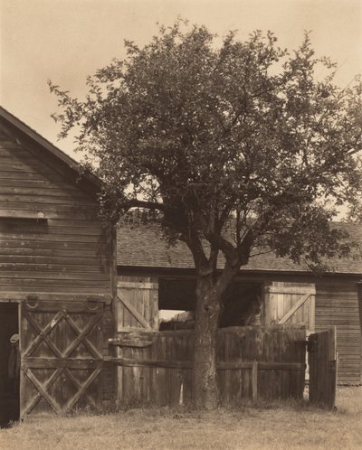  tekijältä Alfred Stieglitz