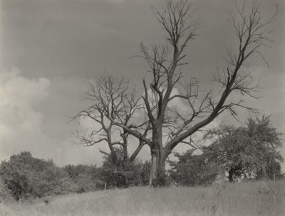  tekijältä Alfred Stieglitz