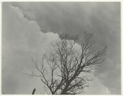Puusarja 3 tekijältä Alfred Stieglitz