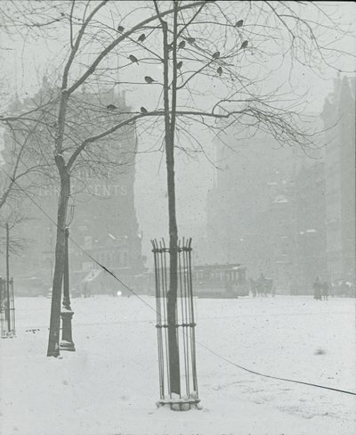 Tree in Snow, New York City, 190002. tekijältä Alfred Stieglitz